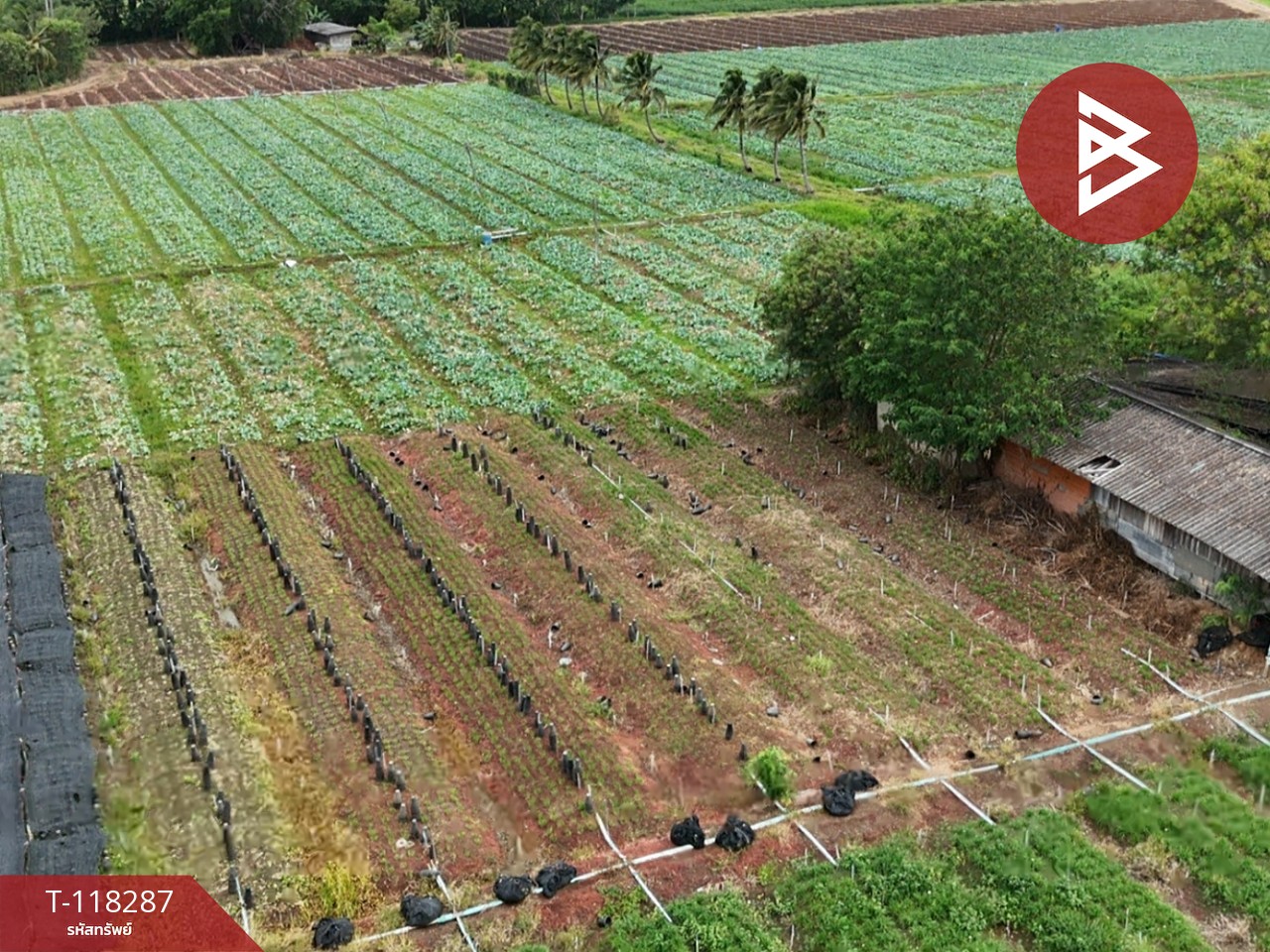 ขายที่ดิน เนื้อที่ 102 ไร่ 3 งาน 9 ตร.วา ปากช่อง นครราชสีมา 7