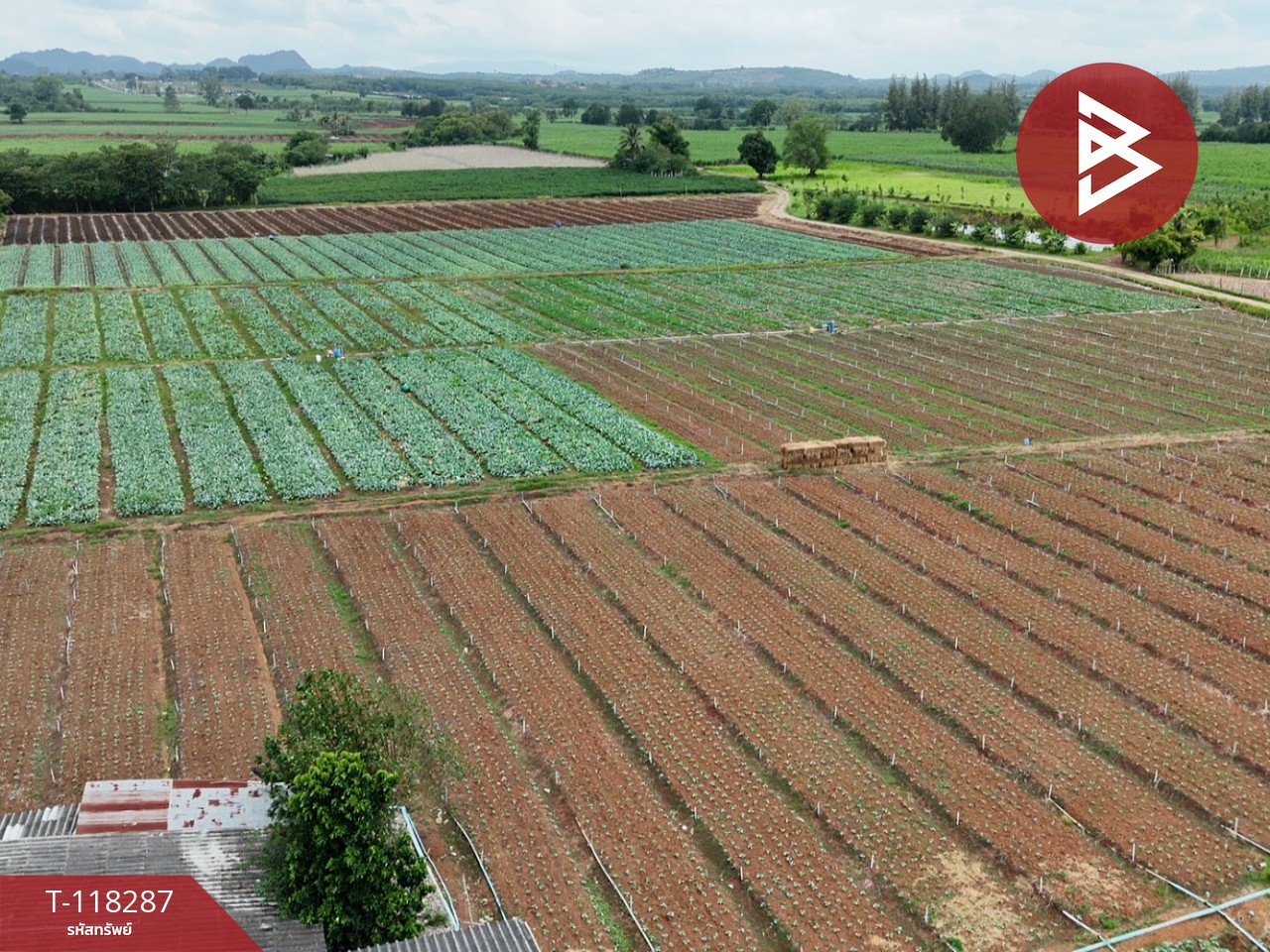 ขายที่ดิน เนื้อที่ 102 ไร่ 3 งาน 9 ตร.วา ปากช่อง นครราชสีมา 10