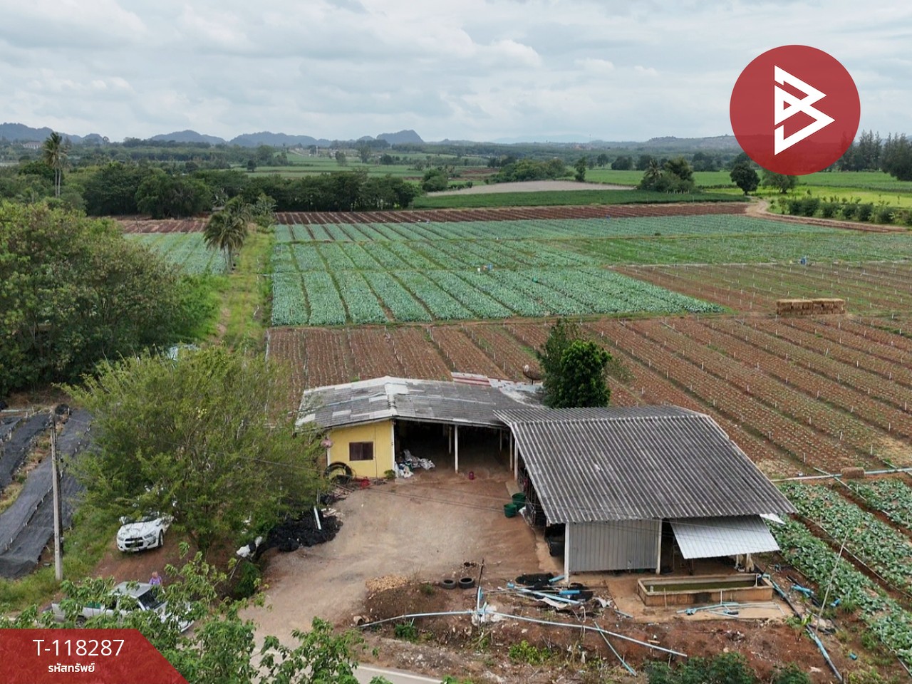 ขายที่ดิน เนื้อที่ 102 ไร่ 3 งาน 9 ตร.วา ปากช่อง นครราชสีมา 14