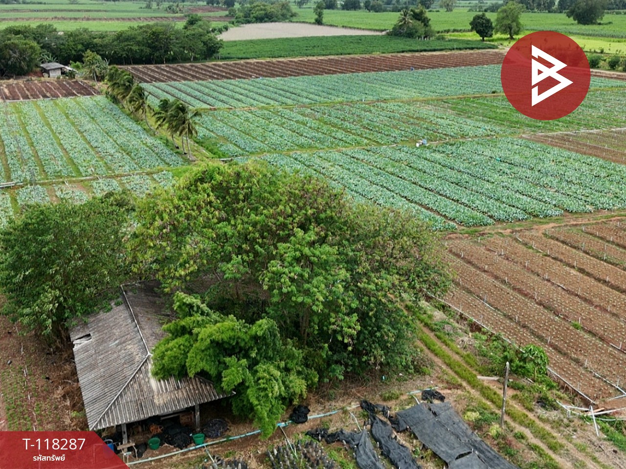 ขายที่ดิน เนื้อที่ 102 ไร่ 3 งาน 9 ตร.วา ปากช่อง นครราชสีมา 11