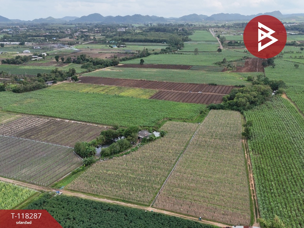 ขายที่ดิน เนื้อที่ 102 ไร่ 3 งาน 9 ตร.วา ปากช่อง นครราชสีมา 5