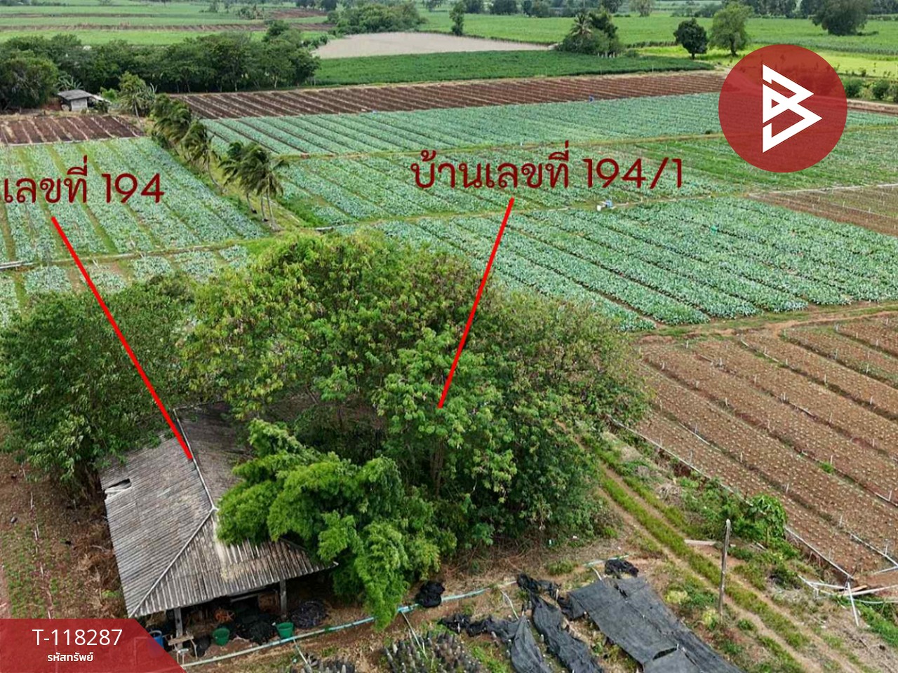 ขายที่ดิน เนื้อที่ 102 ไร่ 3 งาน 9 ตร.วา ปากช่อง นครราชสีมา 2