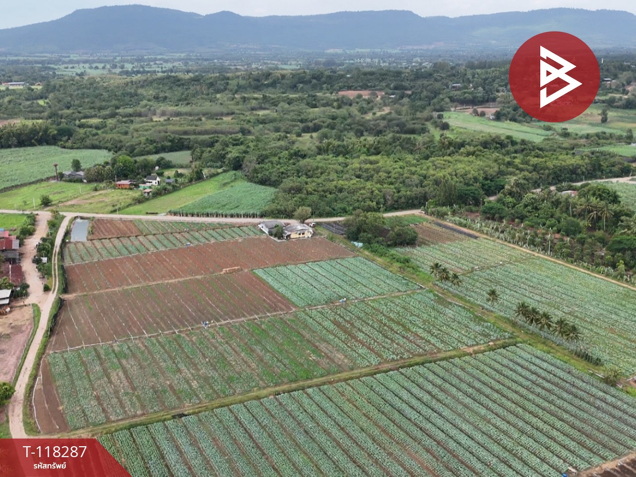 ขายที่ดิน เนื้อที่ 102 ไร่ 3 งาน 9 ตร.วา ปากช่อง นครราชสีมา 4