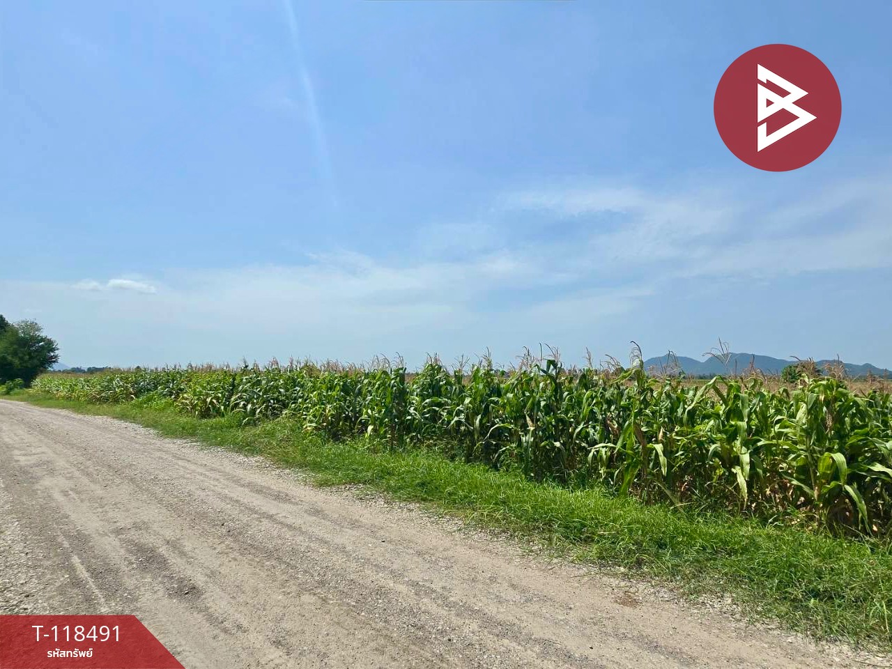 ขายที่ดินเปล่า เนื้อที่ 18 ไร่ 2 งาน 80.0 ตารางวา ตากฟ้า นครสวรรค์ 3