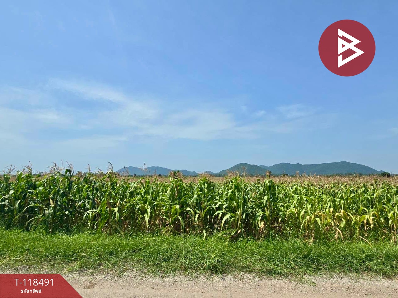 ขายที่ดินเปล่า เนื้อที่ 18 ไร่ 2 งาน 80.0 ตารางวา ตากฟ้า นครสวรรค์ 2