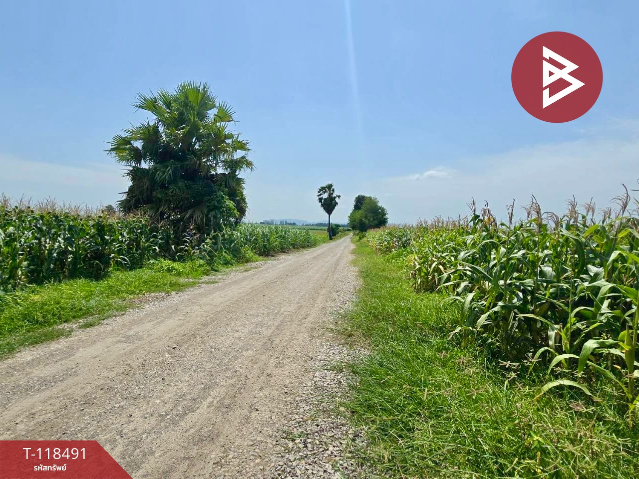 ขายที่ดินเปล่า เนื้อที่ 18 ไร่ 2 งาน 80.0 ตารางวา ตากฟ้า นครสวรรค์ 4