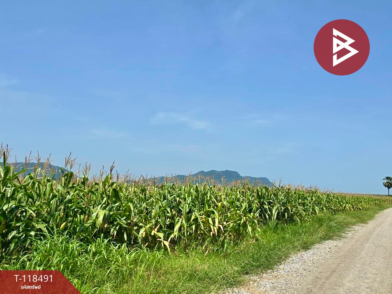 ขายที่ดินเปล่า เนื้อที่ 18 ไร่ 2 งาน 80.0 ตารางวา ตากฟ้า นครสวรรค์ 1