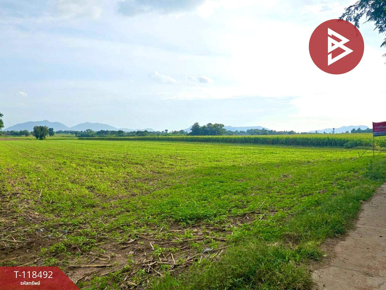 ขายที่ดินเปล่า เนื้อที่ 12 ไร่ 2 งาน 76 ตารางวา ต.พุนกยูง นครสวรรค์ ทำเลดี ติดถนนใหญ่ 6