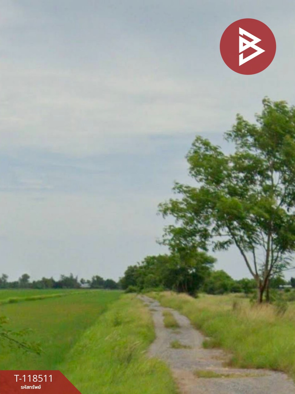 ขายที่ดิน เนื้อที่ 67 ตารางวา องครักษ์ นครนายก 3