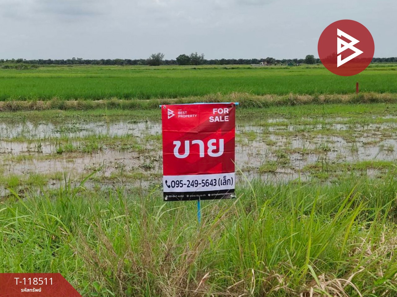 ขายที่ดิน เนื้อที่ 67 ตารางวา องครักษ์ นครนายก 1