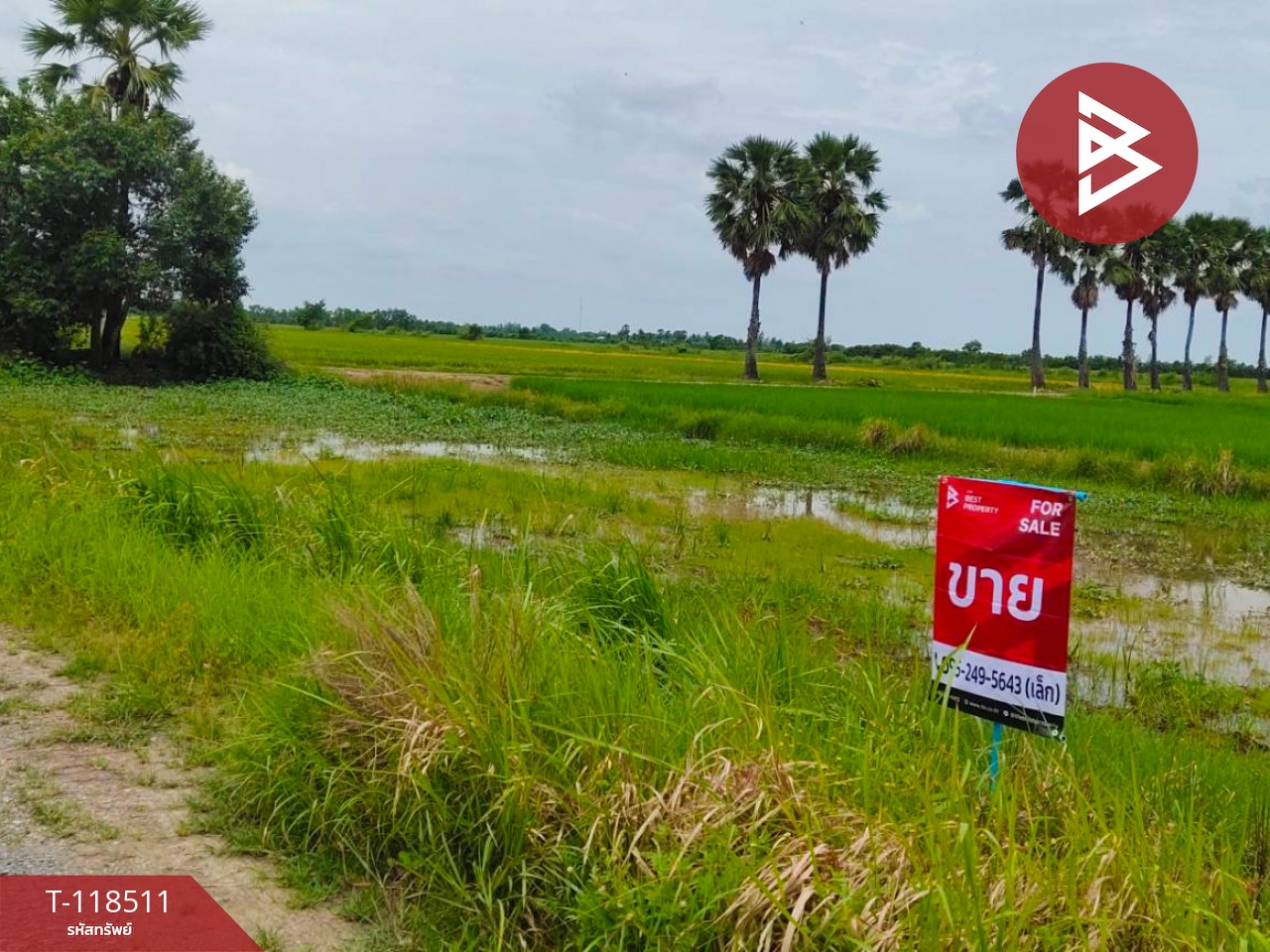 ขายที่ดิน เนื้อที่ 67 ตารางวา องครักษ์ นครนายก 2