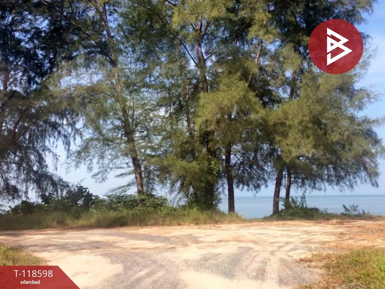 ขายที่ดิน เนื้อที่ 65 ไร่ แหลมกลัด ตราด 1