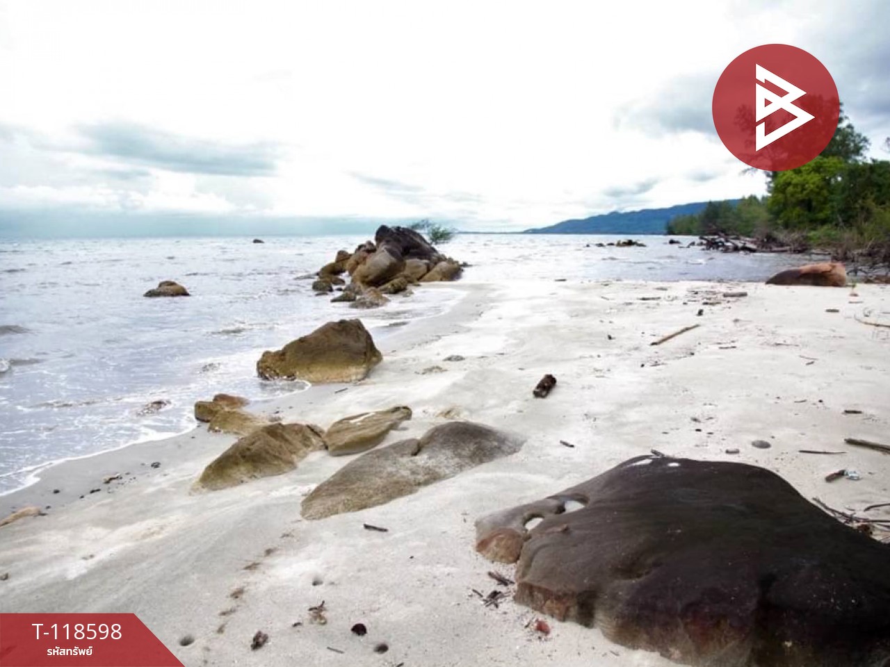 ขายที่ดิน เนื้อที่ 65 ไร่ แหลมกลัด ตราด 3