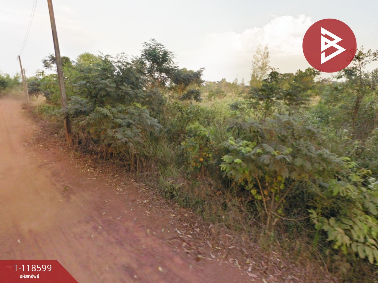 ขายที่ดิน เนื้อที่ 30 ไร่ 2 งาน 51 ตร.วา ประจันตคาม ปราจีนบุรี 5