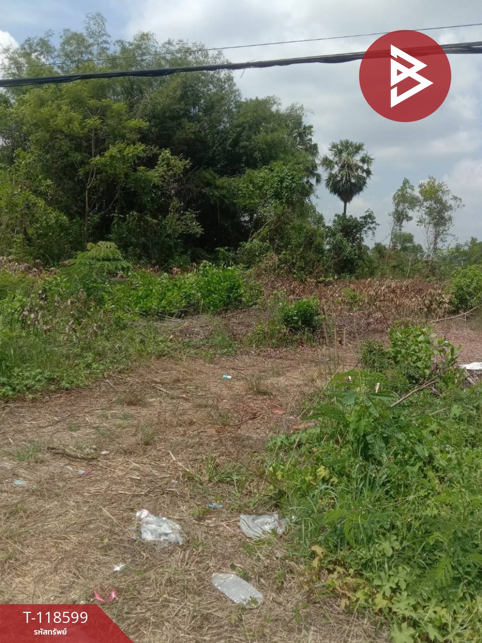 ขายที่ดิน เนื้อที่ 30 ไร่ 2 งาน 51 ตร.วา ประจันตคาม ปราจีนบุรี 2