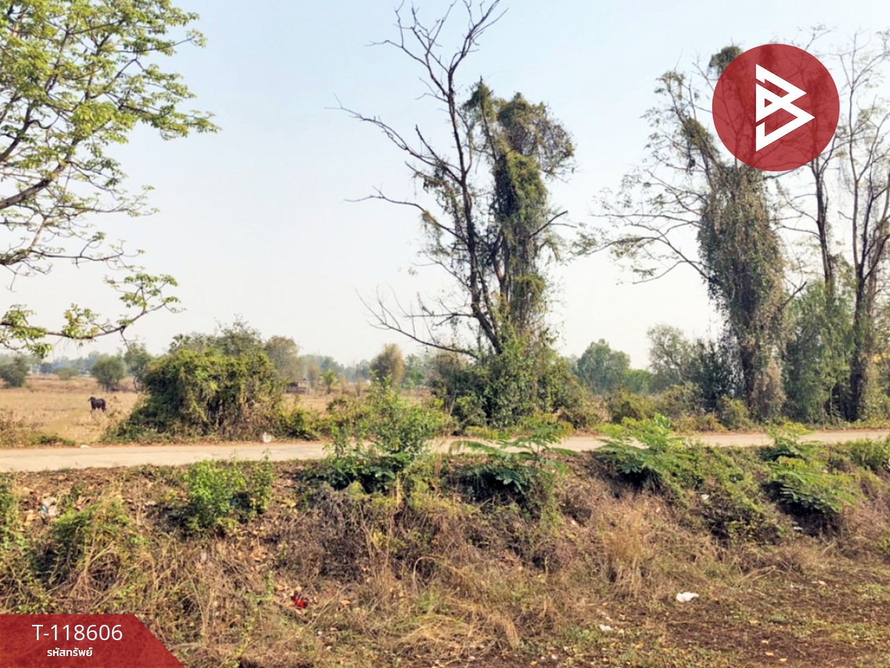 ขายที่ดิน เนื้อที่ 3 ไร่ 66.7 ตร.วา นาดี อุดรธานี 3