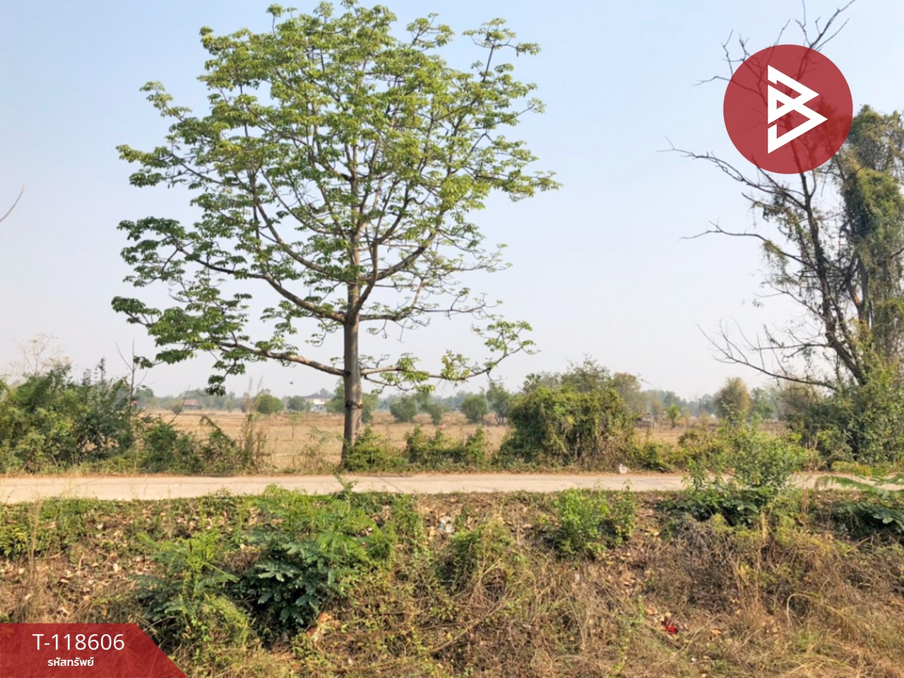 ขายที่ดิน เนื้อที่ 3 ไร่ 66.7 ตร.วา นาดี อุดรธานี 4