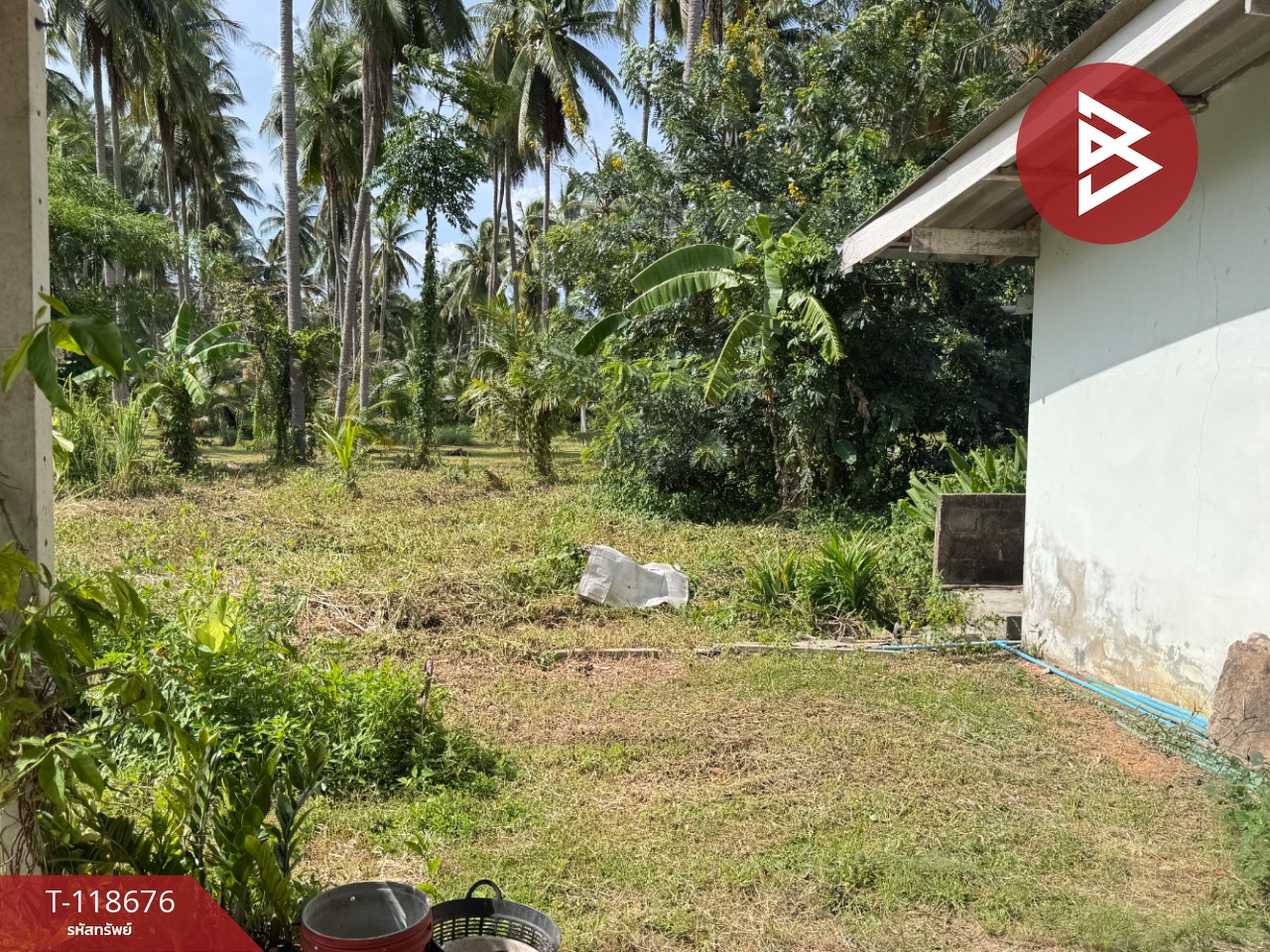 ขายที่ดิน เนื้อที่ 1 งาน 97 ตร.วา บางสะพาน ประจวบคีรีขันธ์ 6