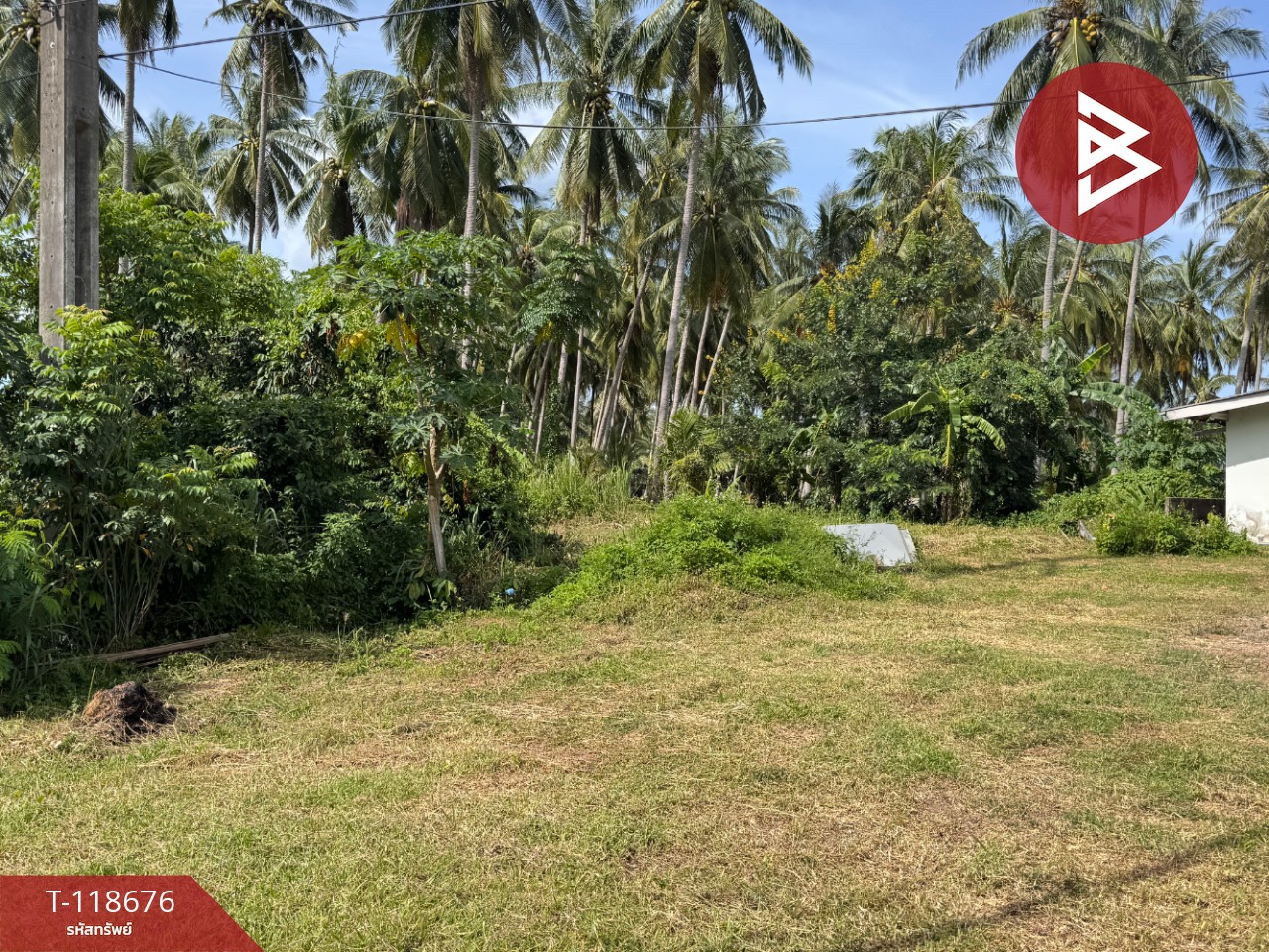 ขายที่ดิน เนื้อที่ 1 งาน 97 ตร.วา บางสะพาน ประจวบคีรีขันธ์ 9