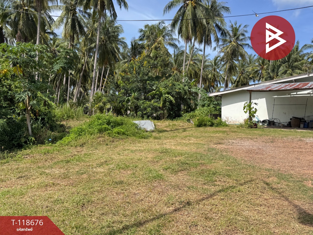 ขายที่ดิน เนื้อที่ 1 งาน 97 ตร.วา บางสะพาน ประจวบคีรีขันธ์ 10