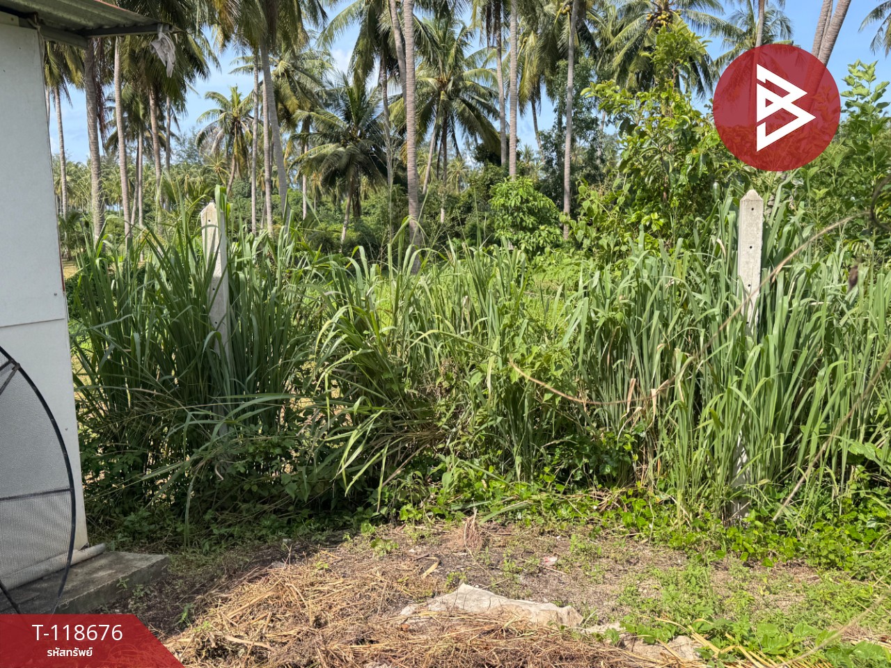 ขายที่ดิน เนื้อที่ 1 งาน 97 ตร.วา บางสะพาน ประจวบคีรีขันธ์ 4