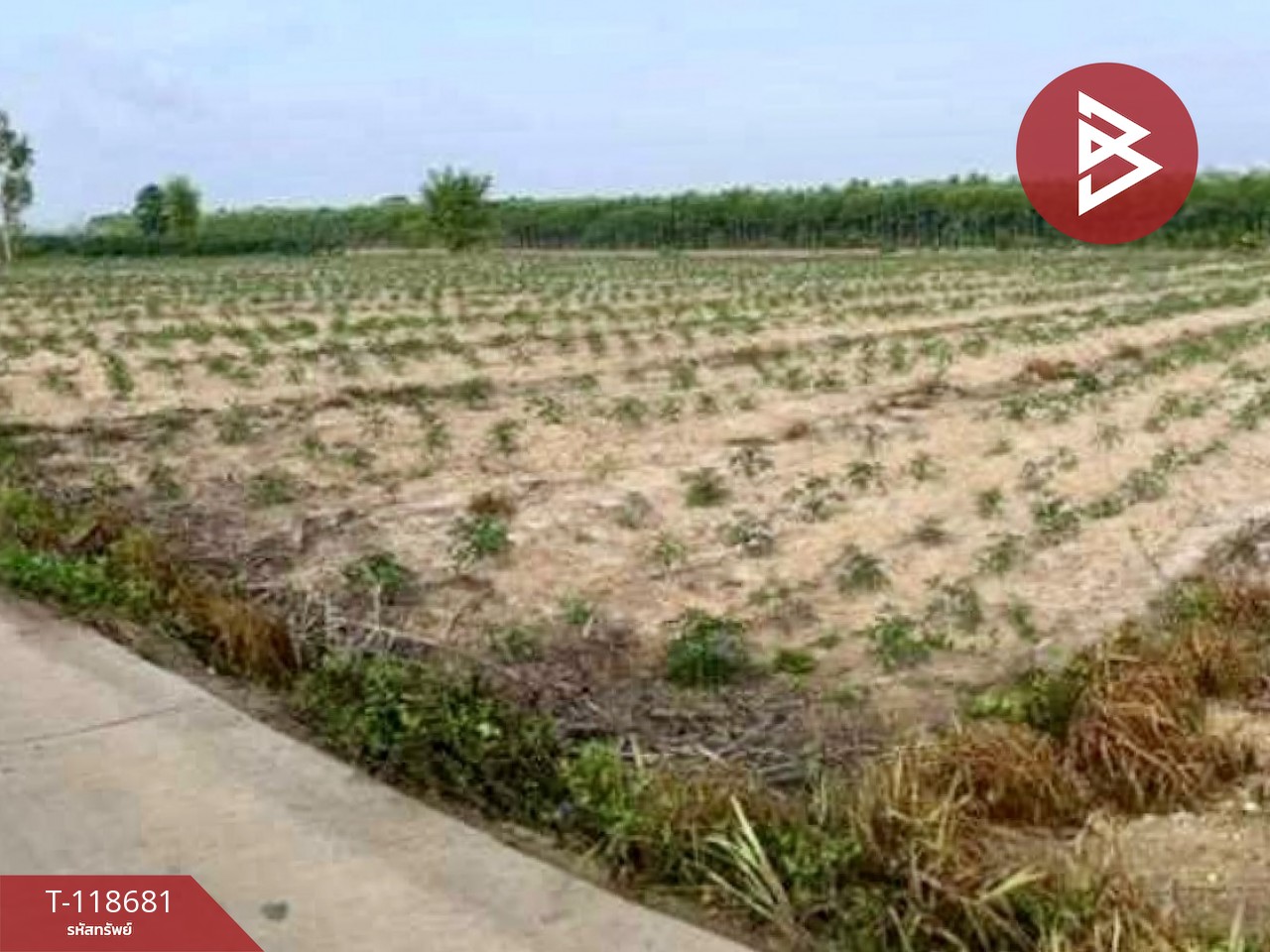 ขายที่ดิน เนื้อที่ 1 ไร่ แปลงยาว ฉะเชิงเทรา 5