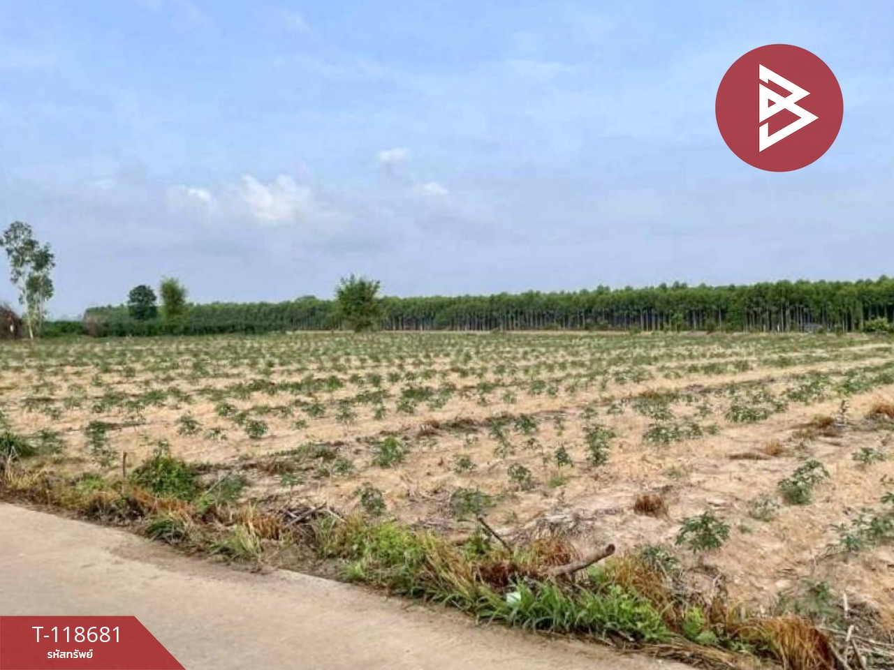 ขายที่ดิน เนื้อที่ 1 ไร่ แปลงยาว ฉะเชิงเทรา 1