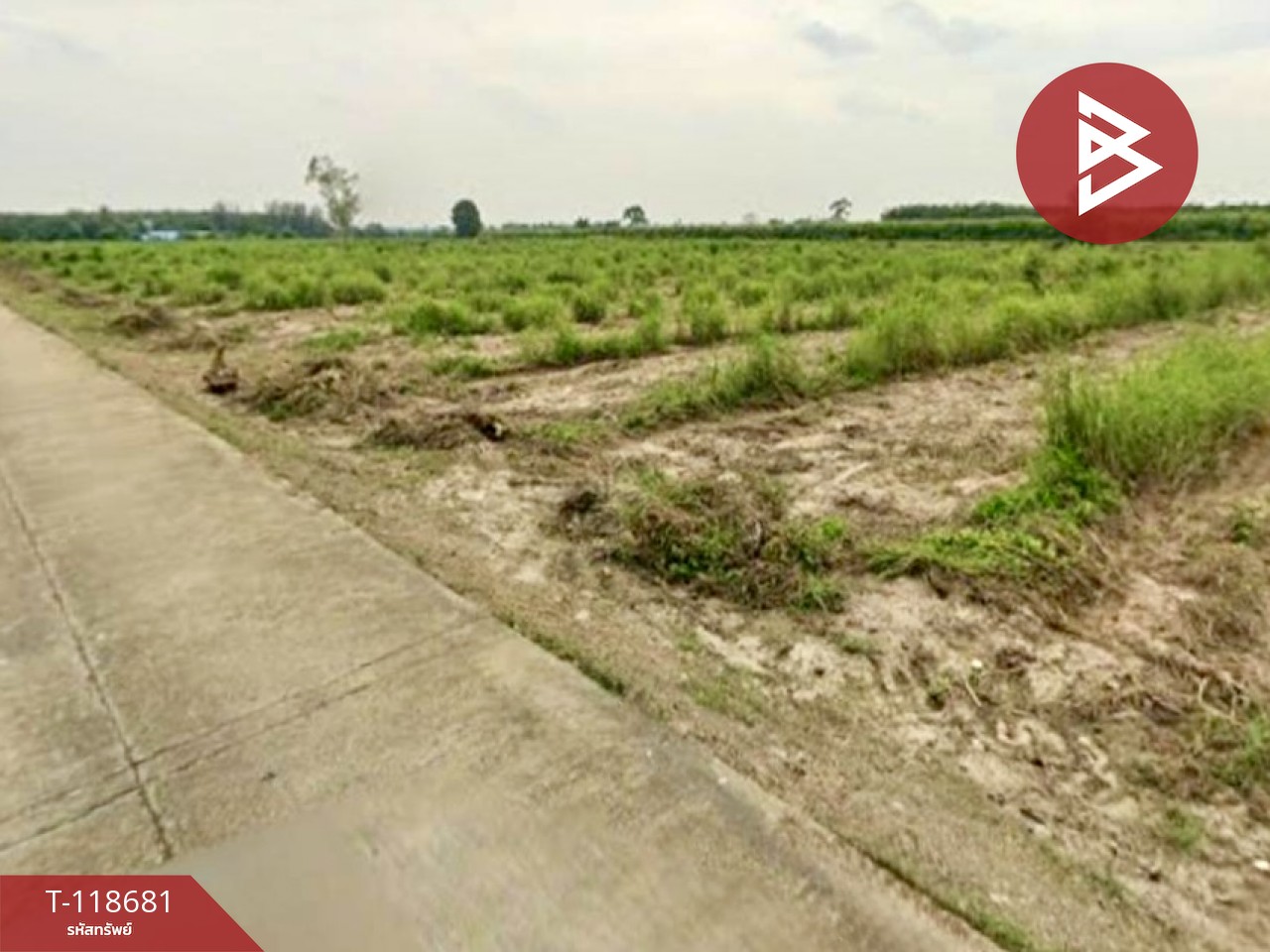 ขายที่ดิน เนื้อที่ 1 ไร่ แปลงยาว ฉะเชิงเทรา 2