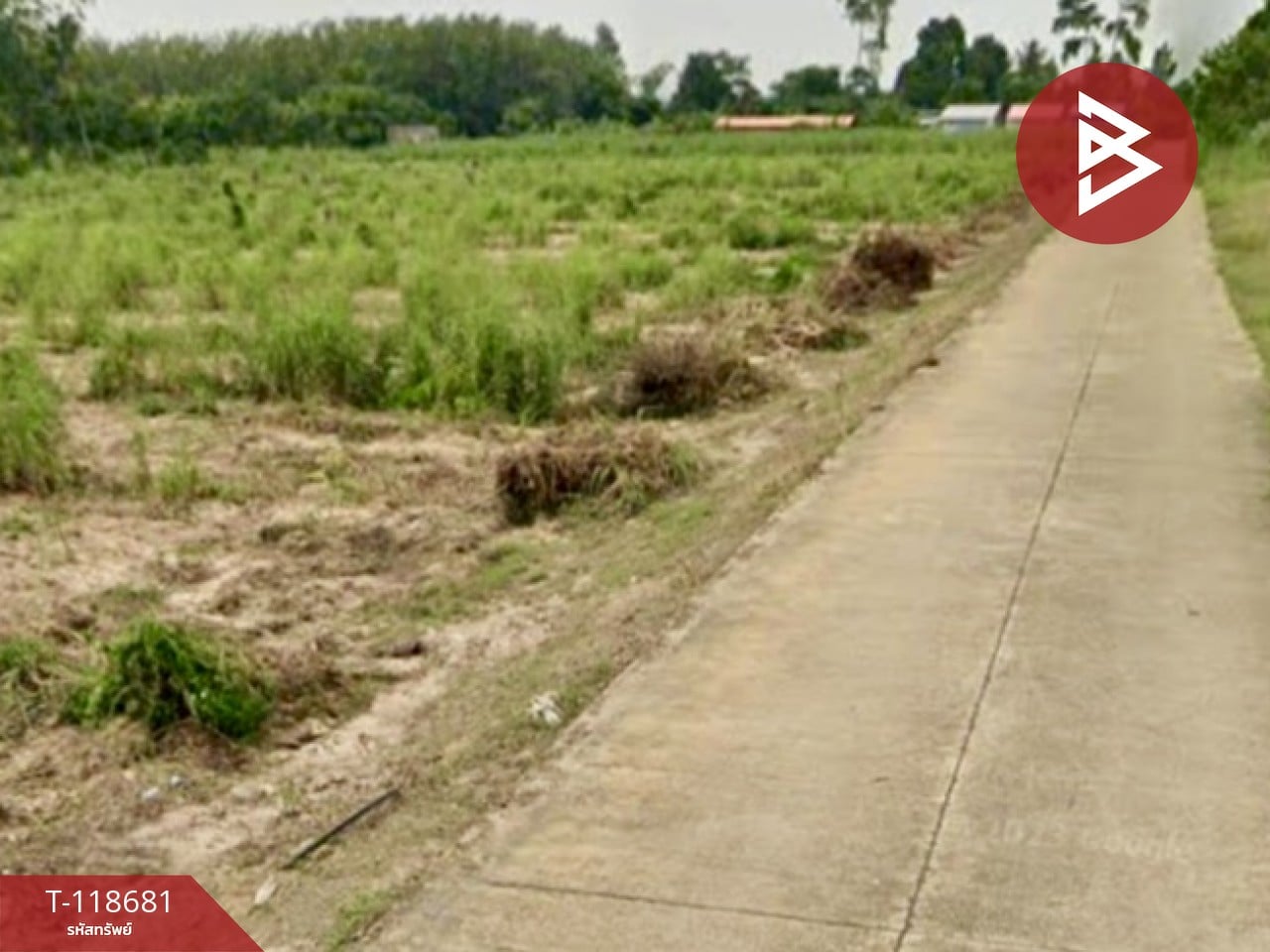 ขายที่ดิน เนื้อที่ 1 ไร่ แปลงยาว ฉะเชิงเทรา 3