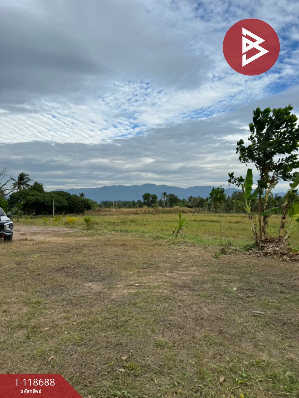 ขายที่ดิน เนื้อที่ 2 ไร่ 1 งาน 93 ตร.วา หนองบัว จันทบุรี 3