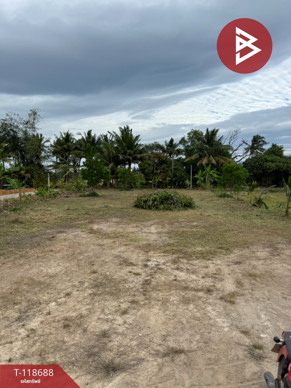 ขายที่ดิน เนื้อที่ 2 ไร่ 1 งาน 93 ตร.วา หนองบัว จันทบุรี 8