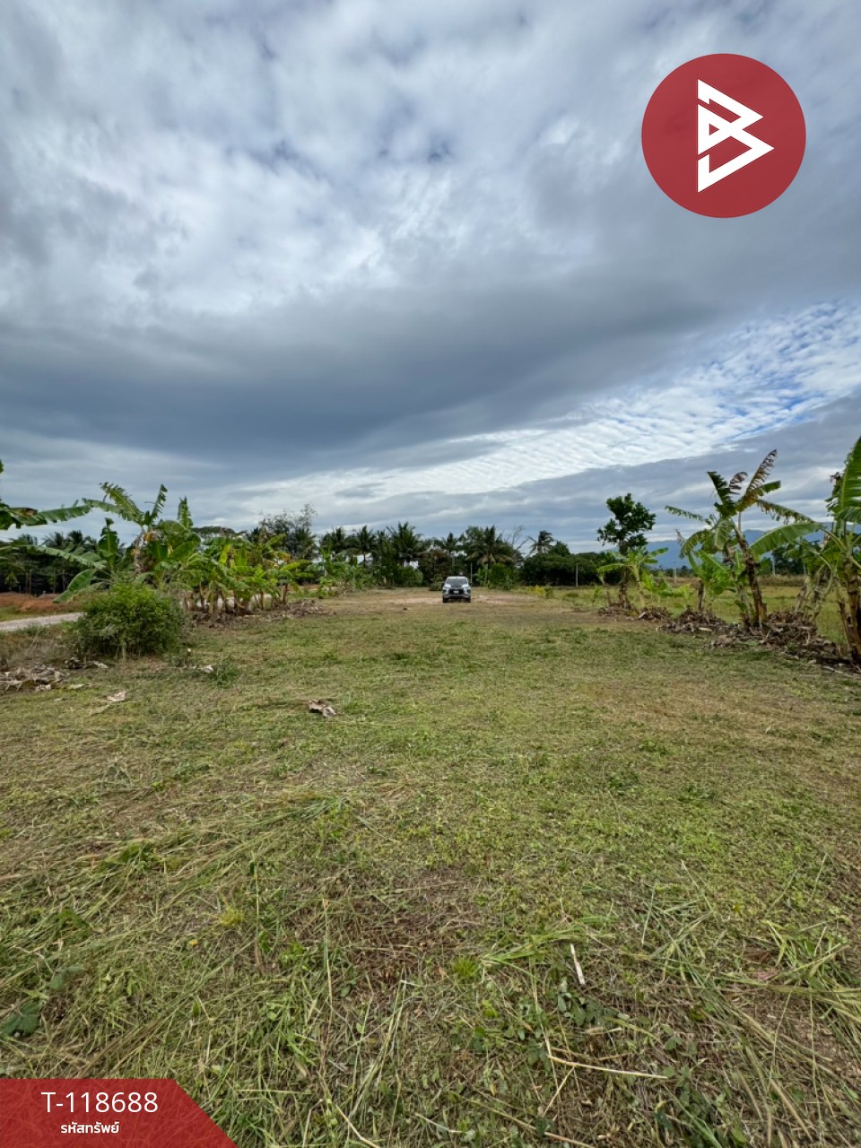 ขายที่ดิน เนื้อที่ 2 ไร่ 1 งาน 93 ตร.วา หนองบัว จันทบุรี 9