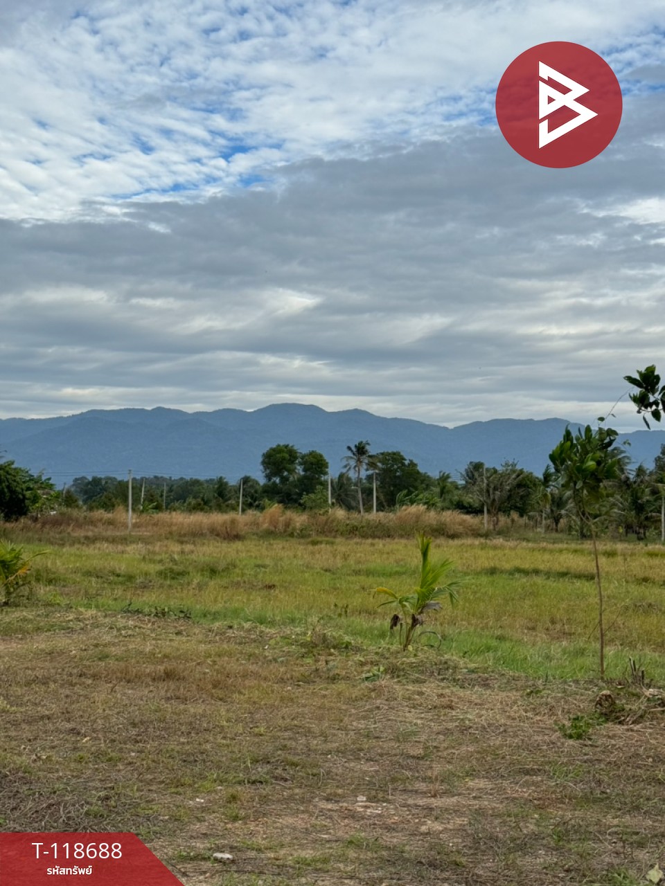 ขายที่ดิน เนื้อที่ 2 ไร่ 1 งาน 93 ตร.วา หนองบัว จันทบุรี 7