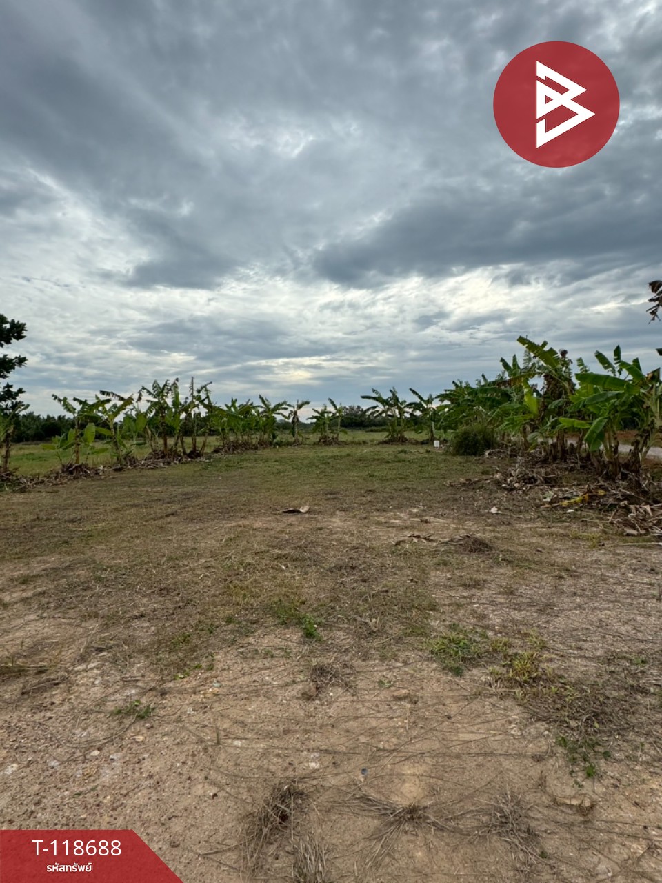 ขายที่ดิน เนื้อที่ 2 ไร่ 1 งาน 93 ตร.วา หนองบัว จันทบุรี 4