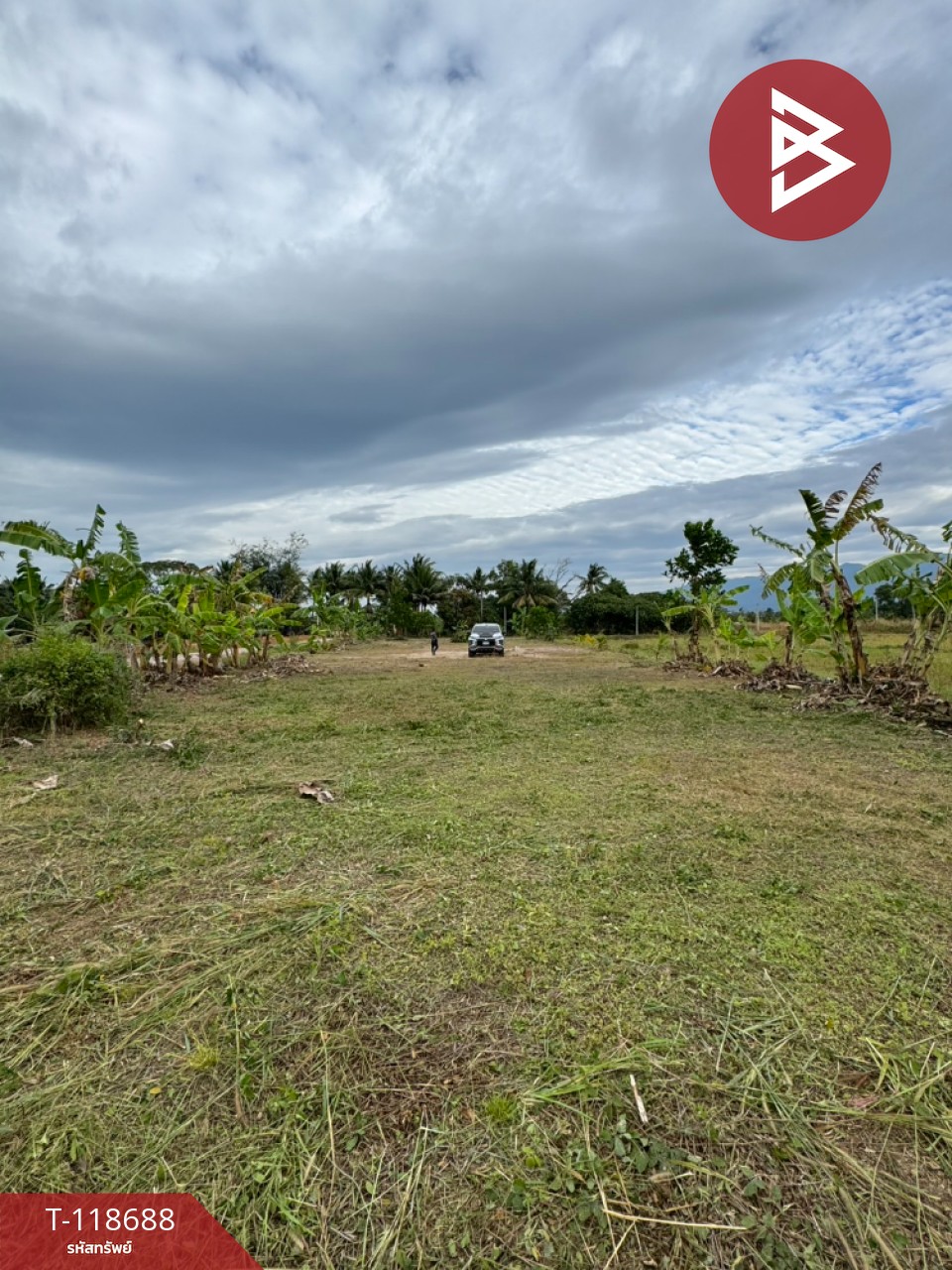 ขายที่ดิน เนื้อที่ 2 ไร่ 1 งาน 93 ตร.วา หนองบัว จันทบุรี 6