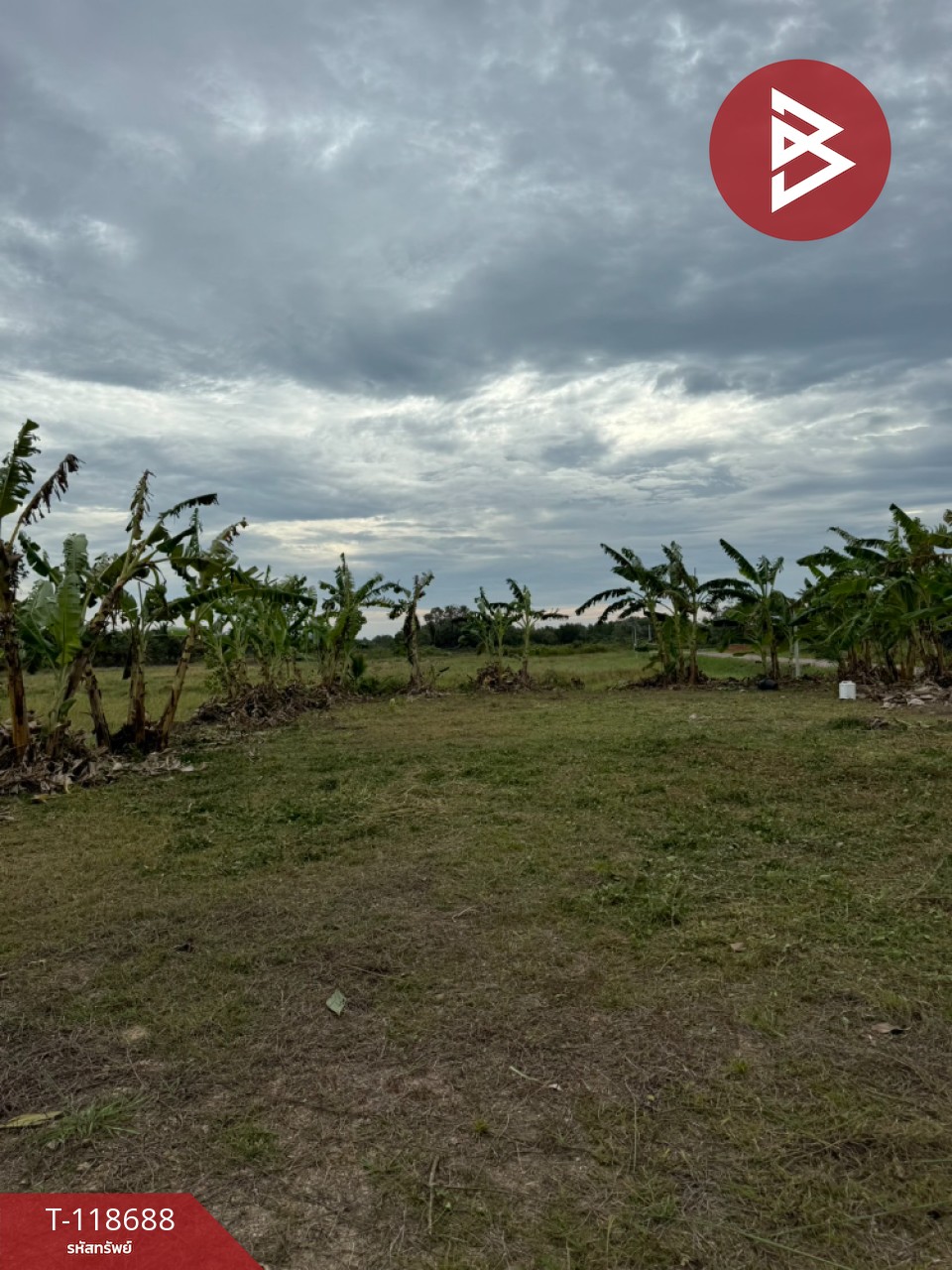 ขายที่ดิน เนื้อที่ 2 ไร่ 1 งาน 93 ตร.วา หนองบัว จันทบุรี 5