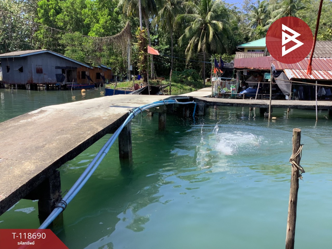 ขายที่ดินพร้อมกิจการ เนื้อที่ 2 ไร่ 3 งาน 53 ตร.วา คลองใหญ่ ตราด 10