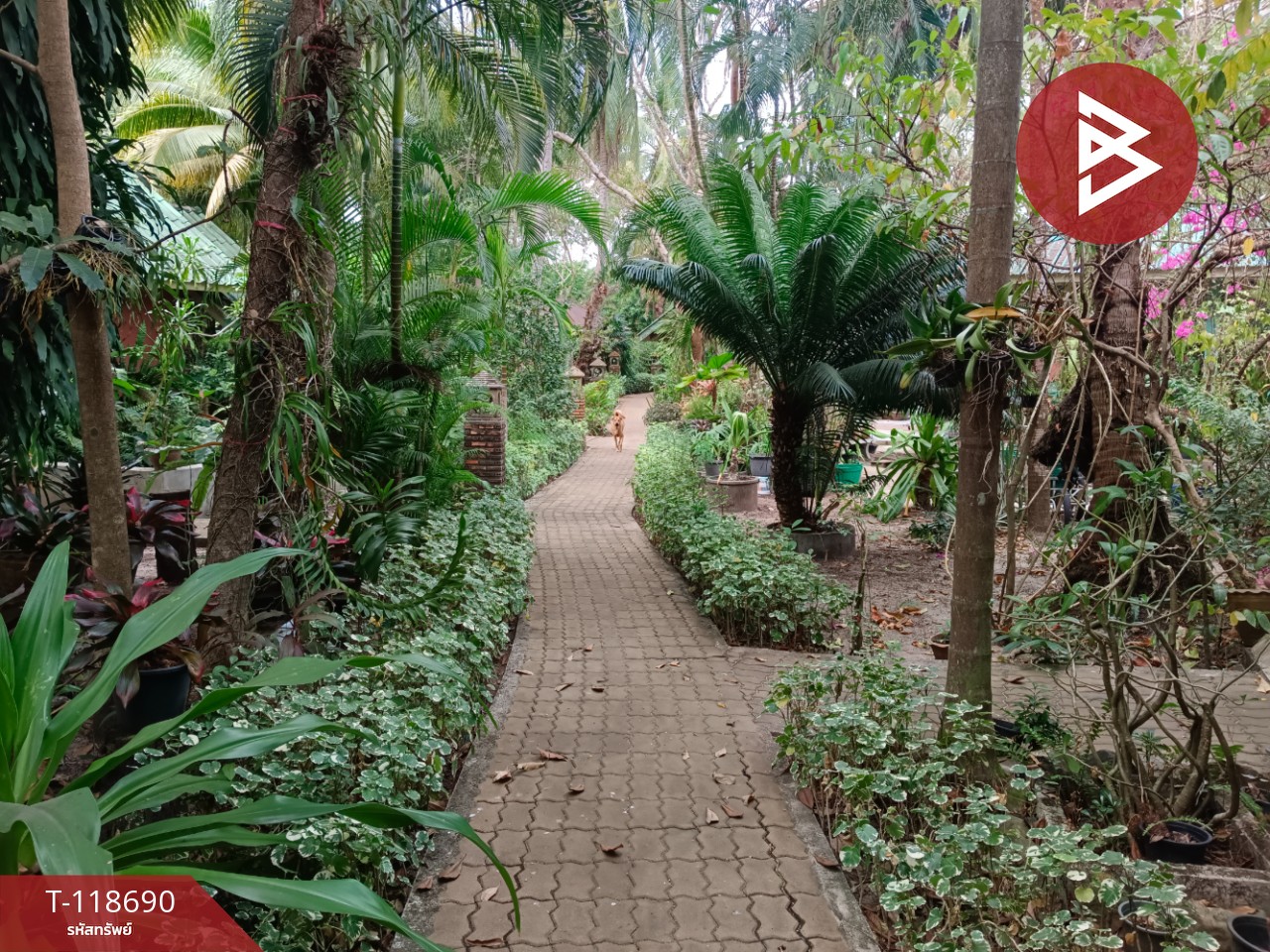 ขายที่ดินพร้อมกิจการ เนื้อที่ 2 ไร่ 3 งาน 53 ตร.วา คลองใหญ่ ตราด 12