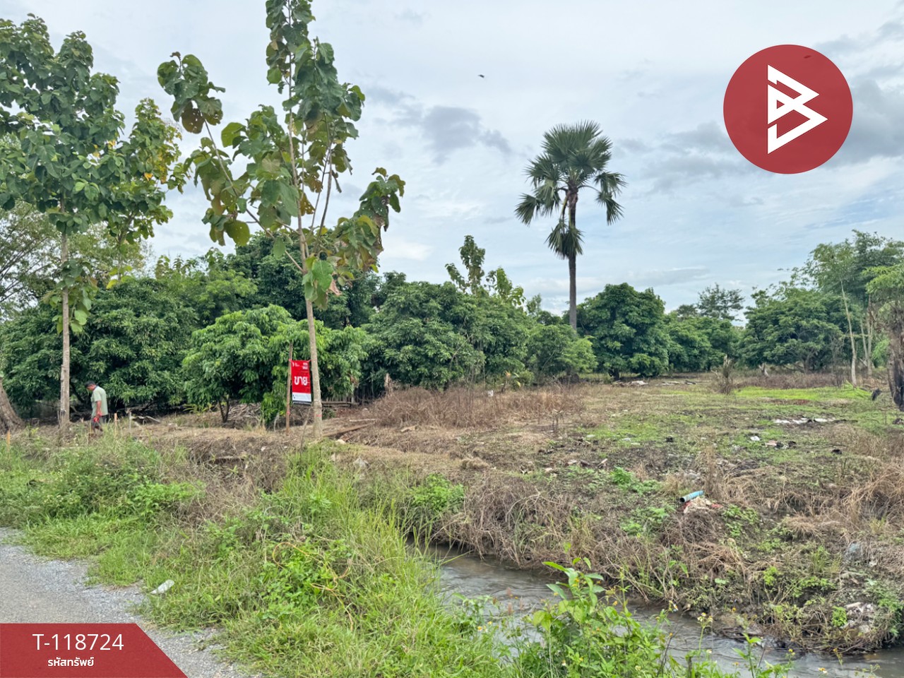 ขายที่ดิน เนื้อที่ 1 ไร่ 2 งาน 94 ตร.วา จอมทอง เชียงใหม่ 2