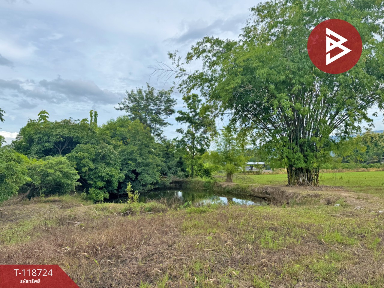 ขายที่ดิน เนื้อที่ 1 ไร่ 2 งาน 94 ตร.วา จอมทอง เชียงใหม่ 4