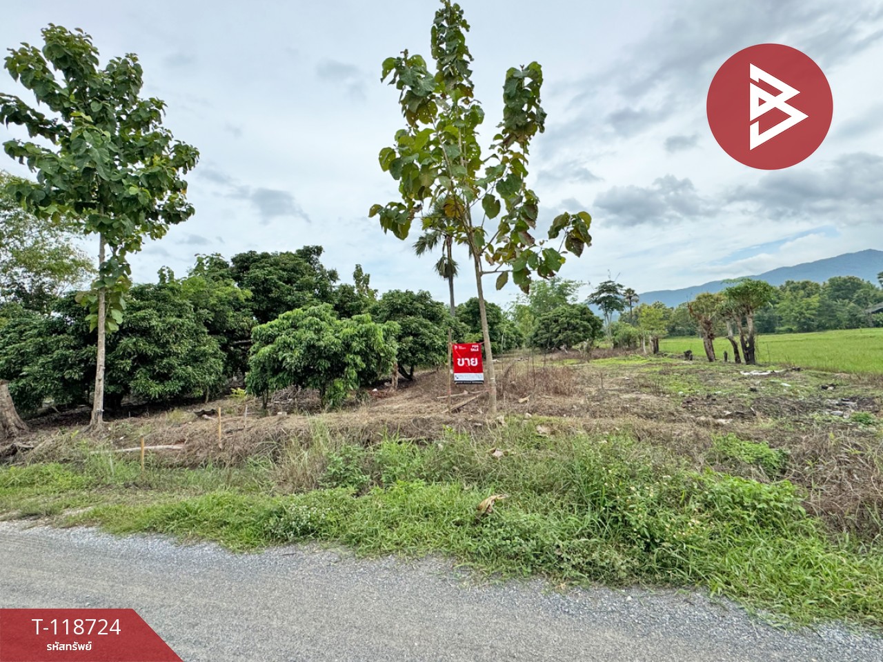 ขายที่ดิน เนื้อที่ 1 ไร่ 2 งาน 94 ตร.วา จอมทอง เชียงใหม่ 1