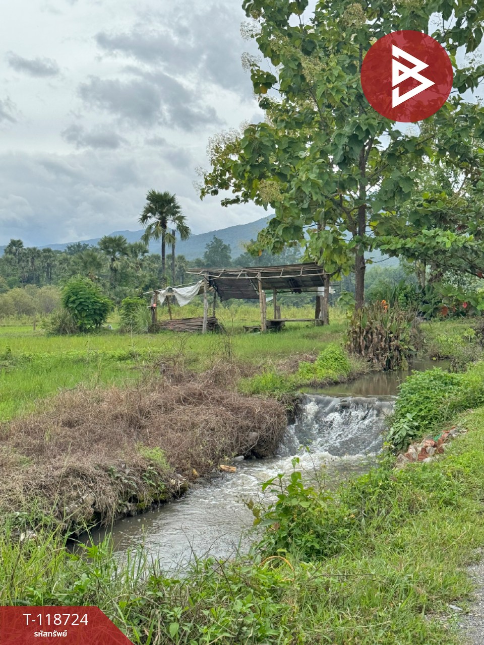 ขายที่ดิน เนื้อที่ 1 ไร่ 2 งาน 94 ตร.วา จอมทอง เชียงใหม่ 6