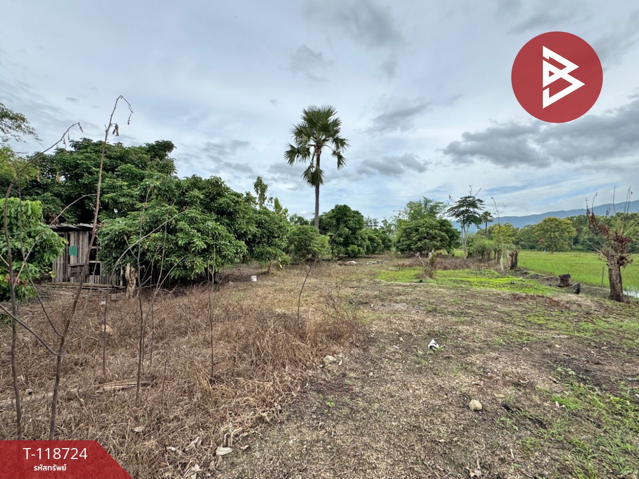 ขายที่ดิน เนื้อที่ 1 ไร่ 2 งาน 94 ตร.วา จอมทอง เชียงใหม่ 3