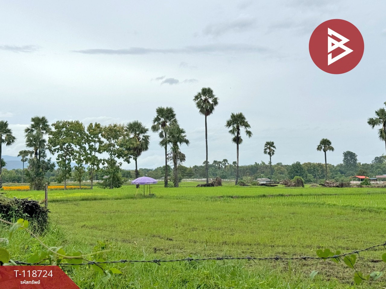 ขายที่ดิน เนื้อที่ 1 ไร่ 2 งาน 94 ตร.วา จอมทอง เชียงใหม่ 5