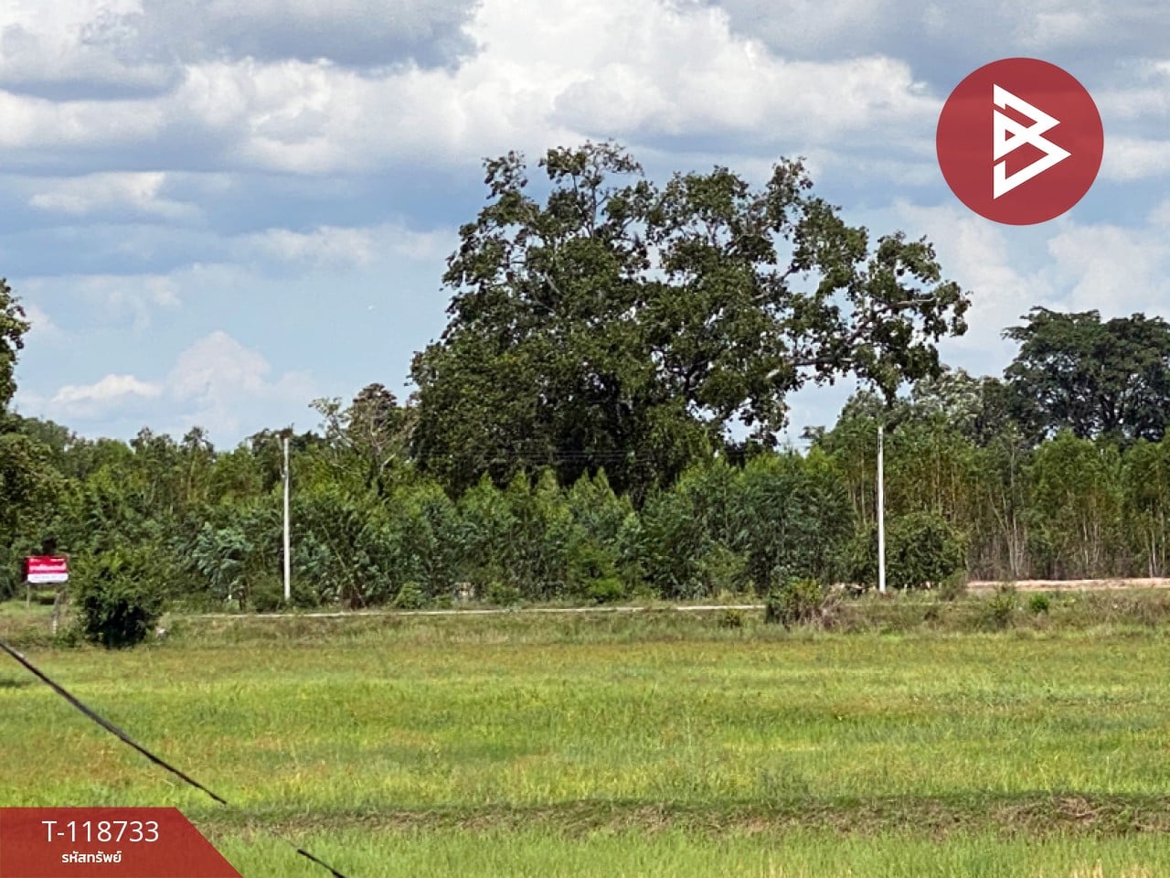 ขายที่ดิน เนื้อที่ 8 ไร่ 1 งาน 33 ตร.วา โนนศิลา ขอนแก่น 10