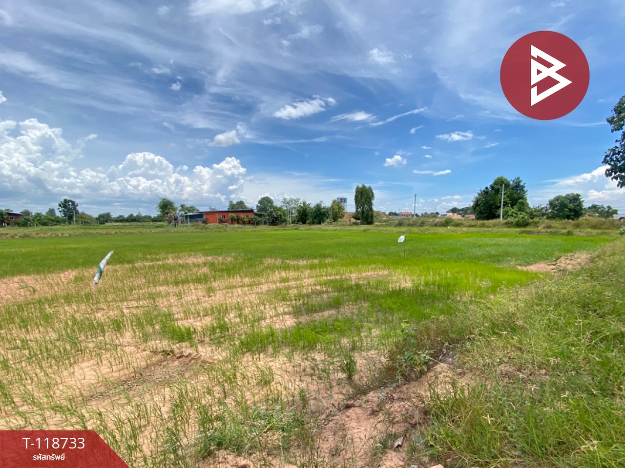 ขายที่ดิน เนื้อที่ 8 ไร่ 1 งาน 33 ตร.วา โนนศิลา ขอนแก่น 2