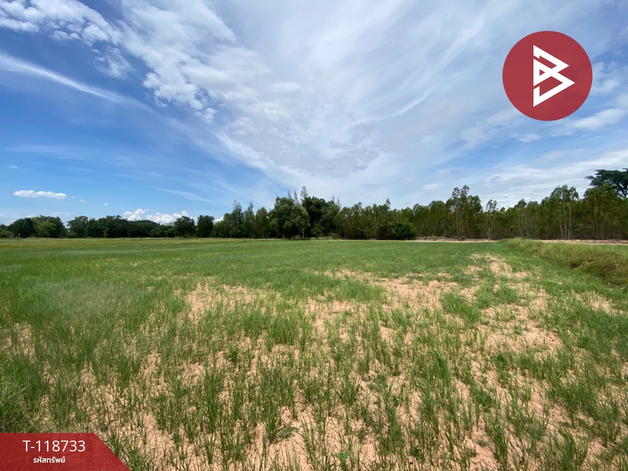 ขายที่ดิน เนื้อที่ 8 ไร่ 1 งาน 33 ตร.วา โนนศิลา ขอนแก่น 3