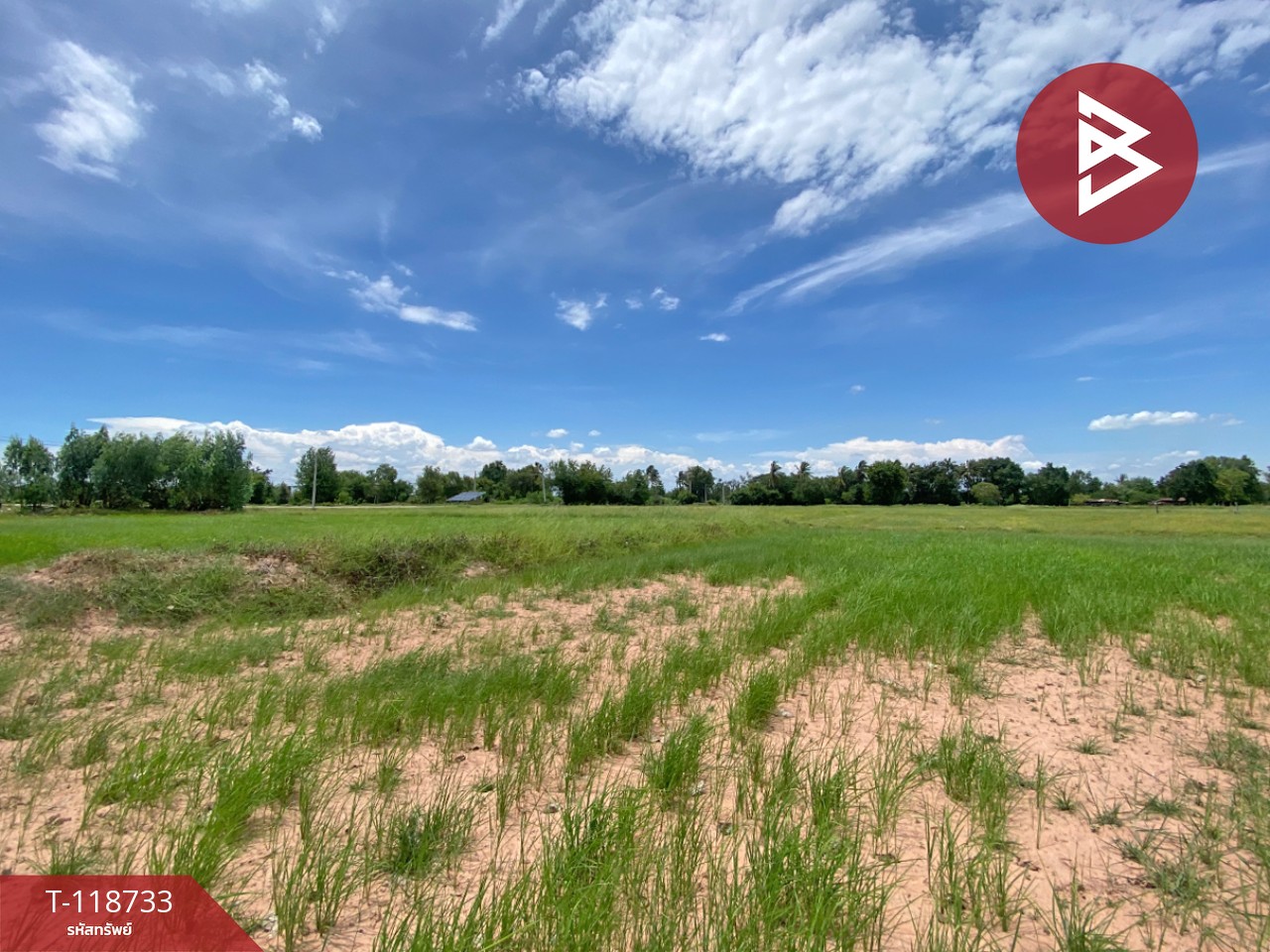 ขายที่ดิน เนื้อที่ 8 ไร่ 1 งาน 33 ตร.วา โนนศิลา ขอนแก่น 1