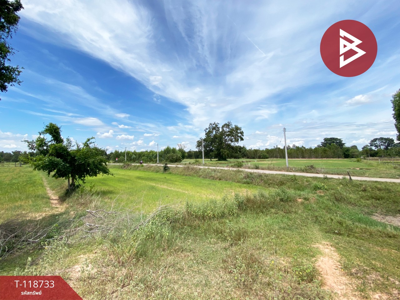 ขายที่ดิน เนื้อที่ 8 ไร่ 1 งาน 33 ตร.วา โนนศิลา ขอนแก่น 5