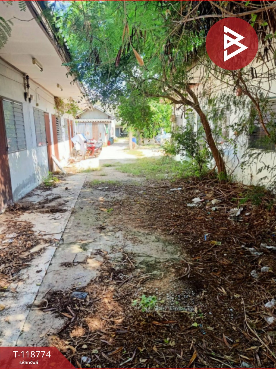 ขายที่ดินพร้อมสิ่งปลูกสร้าง เนื้อที่ 1 งาน 50 ตร.วา เฉลิมพระเกียรติ นครราชสีมา 4